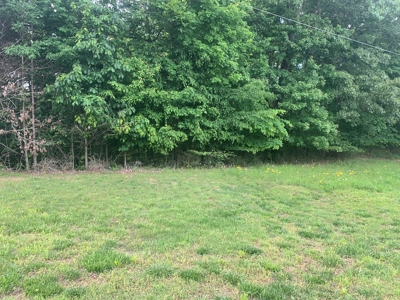 Lot #87 - Crescent Ridge Subdivision in Clinton County, KY - image 4