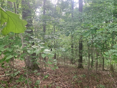 Lot #87 - Crescent Ridge Subdivision in Clinton County, KY - image 8