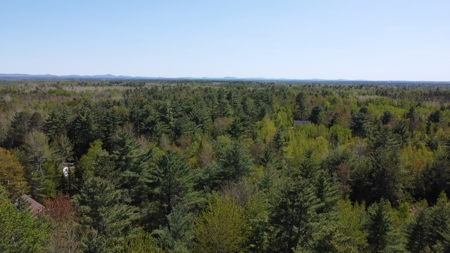 8 acres of private wooded land - image 1