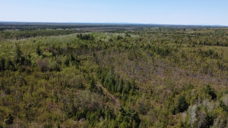 8 acres of private wooded land - image 3