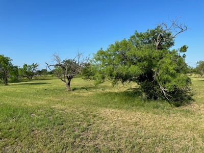 Prime Lots For Sale on The Hideout Golf Course Brownwood TX - image 41