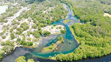 Thriving Restaurant, Hotel, Bait Shop & Boat Rental For Sale - image 48