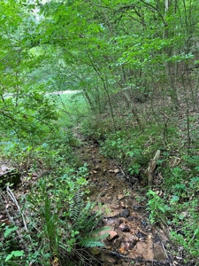 Building Site for Sale in Bassett VA! - image 3