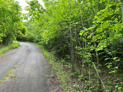 Land for Sale in Bassett VA! - image 3