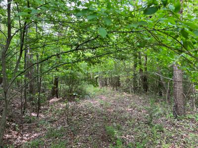 Land for Sale in Bassett VA! - image 6