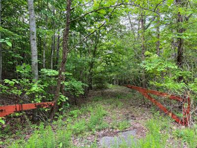 Land for Sale in Bassett VA! - image 1