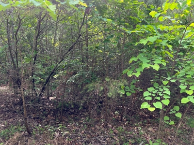 Bassett VA Building Site for Sale! - image 3