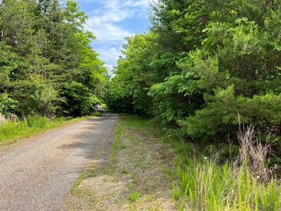 Bassett VA Building Site for Sale! - image 1
