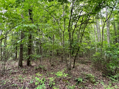 Henry County VA Real Estate for Sale! - image 3