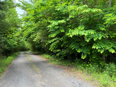 Land in Bassett VA for Sale! - image 4