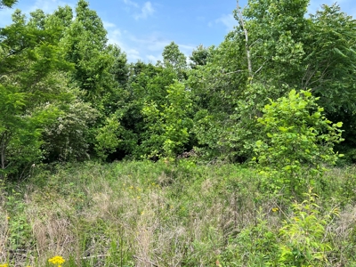 Land in Bassett VA for Sale! - image 1