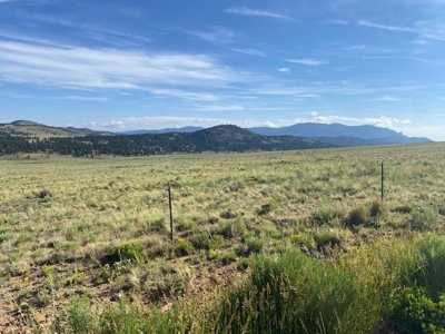 207.10 Acres of Gorgeous Land for Sale in CO! - image 19