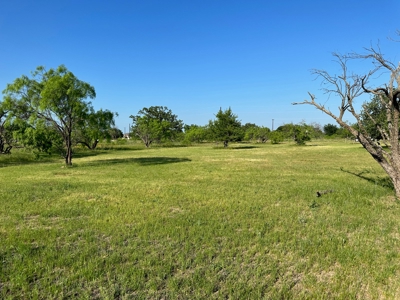 2 Golf Course Lots at The Hideout in Kings Point Cove Texas - image 48