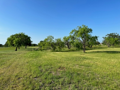 2 Golf Course Lots at The Hideout in Kings Point Cove Texas - image 47