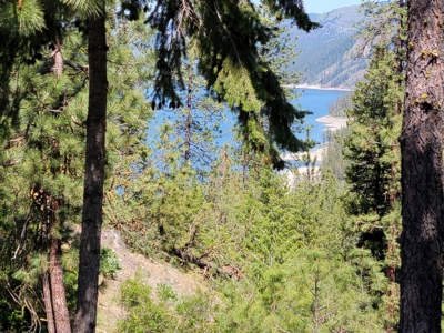 Beach Access with 2 Buildable Lake Roosevelt View Lots! - image 2