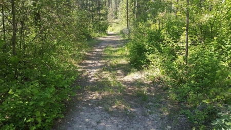 Beach Access with 2 Buildable Lake Roosevelt View Lots! - image 33