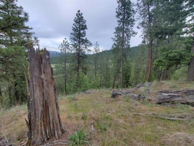 Beach Access with 2 Buildable Lake Roosevelt View Lots! - image 35