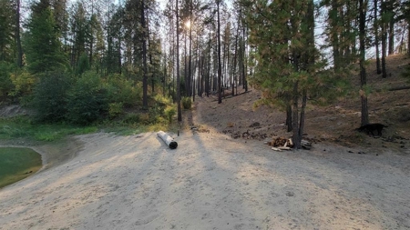 Beach Access with 2 Buildable Lake Roosevelt View Lots! - image 26