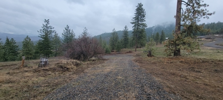 Beach Access with 2 Buildable Lake Roosevelt View Lots! - image 12