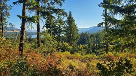 Beach Access with 2 Buildable Lake Roosevelt View Lots! - image 37