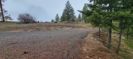 Beach Access with 2 Buildable Lake Roosevelt View Lots! - image 13