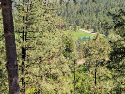 Beach Access with 2 Buildable Lake Roosevelt View Lots! - image 3