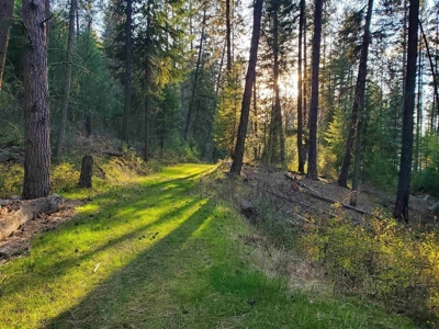 Beach Access with 2 Buildable Lake Roosevelt View Lots! - image 34