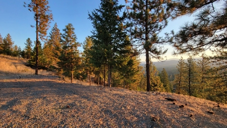Beach Access with 2 Buildable Lake Roosevelt View Lots! - image 21
