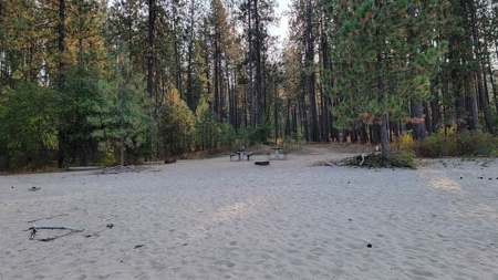 Beach Access with 2 Buildable Lake Roosevelt View Lots! - image 23