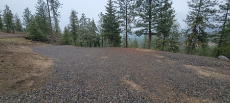 Beach Access with 2 Buildable Lake Roosevelt View Lots! - image 18