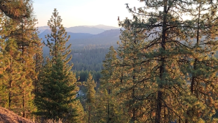 Beach Access with 2 Buildable Lake Roosevelt View Lots! - image 19