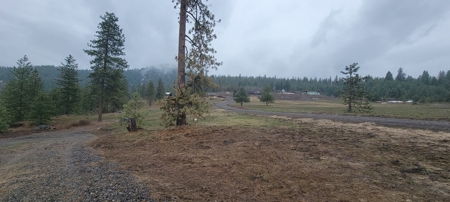 Beach Access with 2 Buildable Lake Roosevelt View Lots! - image 11