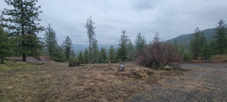 Beach Access with 2 Buildable Lake Roosevelt View Lots! - image 10