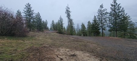 Beach Access with 2 Buildable Lake Roosevelt View Lots! - image 16