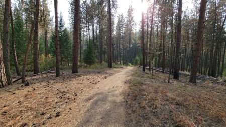 Beach Access with 2 Buildable Lake Roosevelt View Lots! - image 20