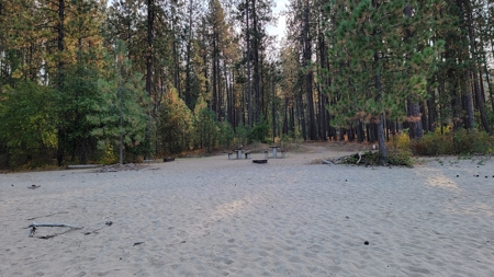 Beach Access with 2 Buildable Lake Roosevelt View Lots! - image 17