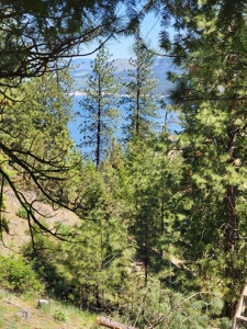 Beach Access with 2 Buildable Lake Roosevelt View Lots! - image 1