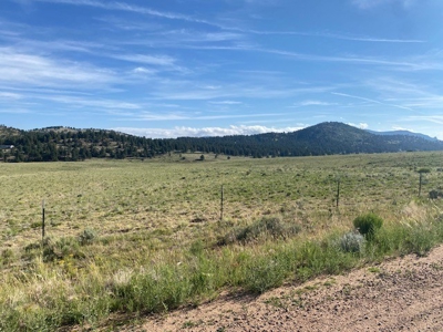 Large Agricultural Lot for Sale in Westcliffe Colorado - image 4