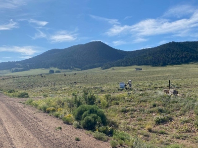 Large Agricultural Lot for Sale in Westcliffe Colorado - image 7