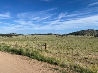 Large Agricultural Lot for Sale in Westcliffe Colorado - image 3