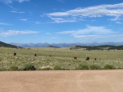 Large Agricultural Lot for Sale in Westcliffe Colorado - image 12