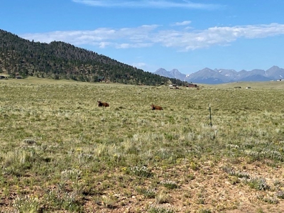 Large Agricultural Lot for Sale in Westcliffe Colorado - image 8