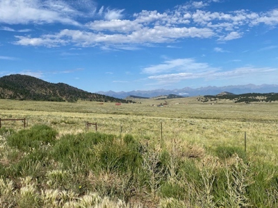 Large Agricultural Lot for Sale in Westcliffe Colorado - image 11