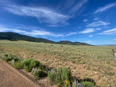 Large Agricultural Lot for Sale in Westcliffe Colorado - image 7