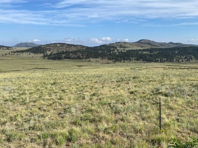Large Agricultural Lot for Sale in Westcliffe Colorado - image 13
