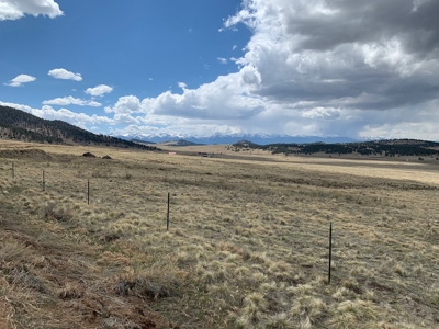 Large Agricultural Lot for Sale in Westcliffe Colorado - image 1