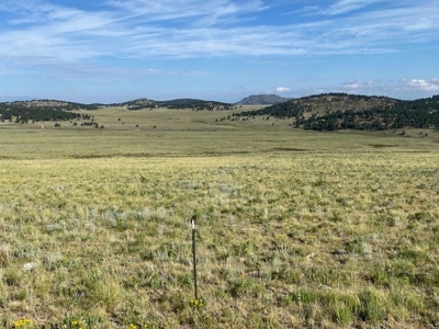 Large Agricultural Lot for Sale in Westcliffe Colorado - image 14