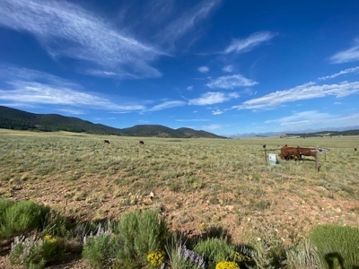 Large Agricultural Lot for Sale in Westcliffe Colorado - image 8