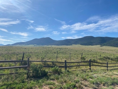 Large Agricultural Lot for Sale in Westcliffe Colorado - image 17