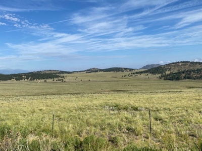Large Agricultural Lot for Sale in Westcliffe Colorado - image 10